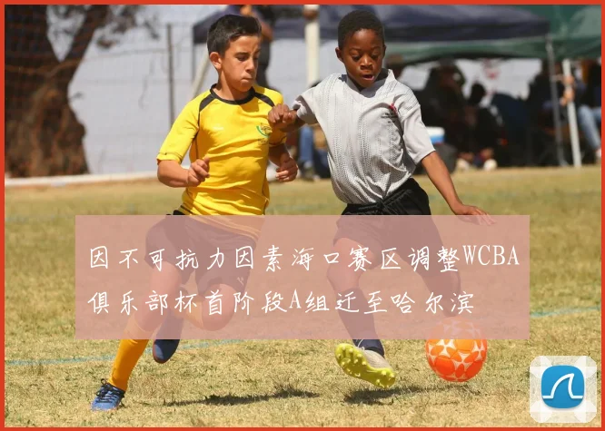 因不可抗力因素海口赛区调整WCBA俱乐部杯首阶段A组迁至哈尔滨